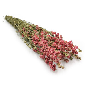 Ostróżka Różowa (Delphinium) - bukiet