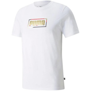 Koszulka męska puma graphic metallic tee biała 589272 02
