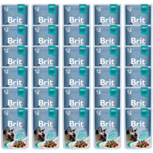 Brit Premium Cat Gravy Fillets With Beef 30x85g