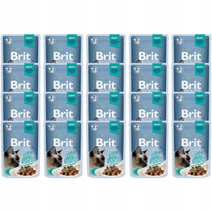 Brit Premium Cat Gravy Fillets With Beef 20x85g