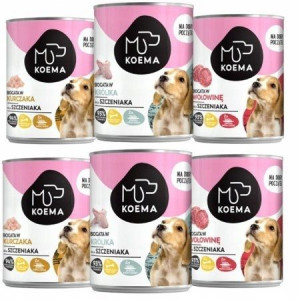 Koema Junior karma dla psa mix 3 smaków 400g x 6
