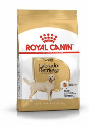 Karma Royal Canin BHN Labrador Adult 12kg + GRATIS