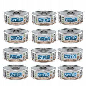 Farmina VET DIET CAT CONVALESCENCE dla kota 12x85g