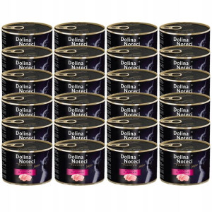 Dolina Noteci Premium JUNIOR INDYK 24x185g