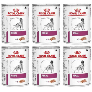 Royal Canin Vet Renal Canine 6x410g