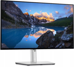 Monitor Dell UltraSharp 23,8” U2422HE IPS Full HD
