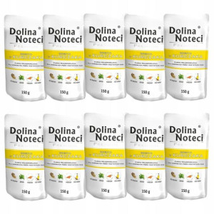 Dolina Noteci Premium Kurczak 10x150g