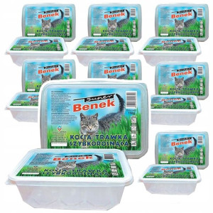 Trawa Dla Kota 10x Koci Przysmak Super Benek