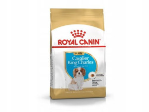 Karma ROYAL CANIN Cavalier sucha junior 1.5KG
