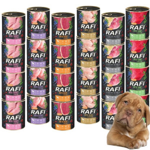 Dolina Noteci Rafi MIX smaków 24x800g