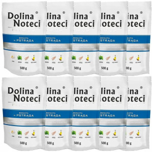 Pakiet Dolina Noteci Premium Pstrąg 10x500g
