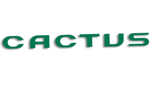 Wycinana naklejka CACTUS zielona