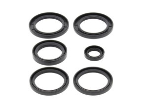 Uszczelniacze dyferencjału tylnego Kawasaki KVF650 Brute Force Suzuki LTV 7