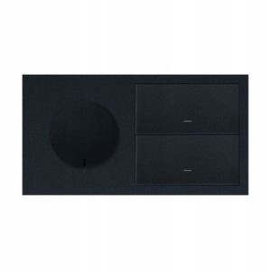 Simon 100 Panel 2-krotny 2xklawisze + Gniazdo Czar