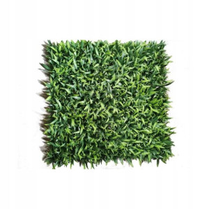 Panel osłonowy Żywopłot Imbir 50x50 cm