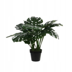 Monstera sztuczna 60cm w doniczce