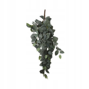 Fittonia sztuczna gałązka 54cm