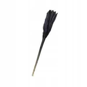 Trawa pampasowa źdźbło 105cm