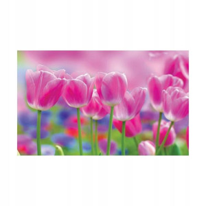 Fototapeta Łąka Tulipanów 104 x 70 cm