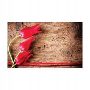 Fototapeta Czerwone Tulipany 152 x 104 cm