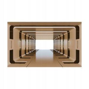 Fototapeta Brązowy Tunel 312 x 219 cm
