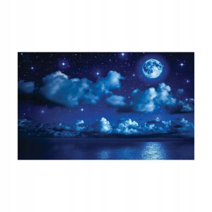 Fototapeta Księżycowa Noc 416 x 254 cm