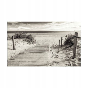 Fototapeta Plaża Sepia 416 x 254 cm