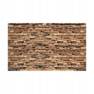 Fototapeta Mur 368 x 254 cm