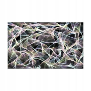 Fototapeta Impresja 368 x 254 cm