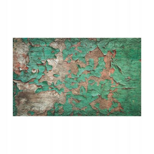Fototapeta Stara Farba 312 x 219 cm