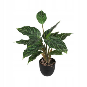 Aglaonema sztuczna 35cm w doniczce