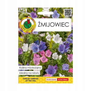Żmijowiec nasiona tradycyjne