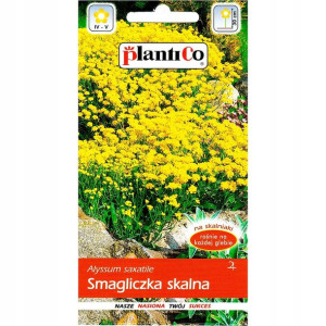 Smagliczka skalna nasiona