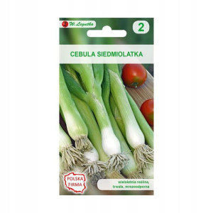 Cebula siedmiolatka LONG WHITE ISHIKURA nasiona tradycyjne 2 g W. LEGUTKO