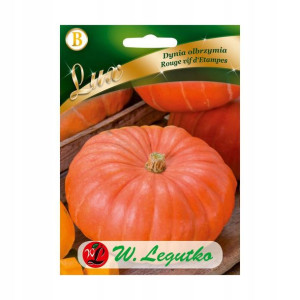 Dynia olbrzymia ROUGE VIF D'ETAMPES nasiona tradycyjne 3 g W. LEGUTKO