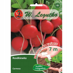 Rzodkiew Carmesa taśma