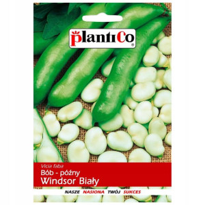 Bób Windsor biały