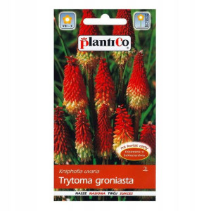 Trytoma groniasta