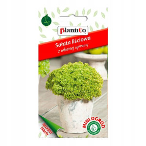 Sałata Lollo Bionda Mini Ogród
