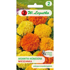 Aksamitka wzniesiona mieszanka 1 g wys. 15 cm