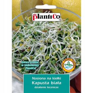 Nasiona na Kiełki kapusty