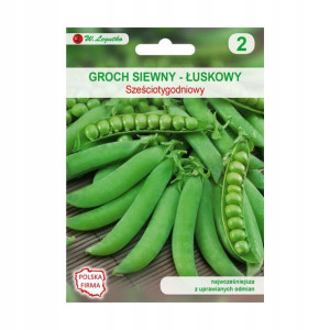 Groch siewny łuskowy SZEŚCIOTYGODNIOWY nasiona tradycyjne 50 g W. LEGUTKO