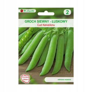Groch siewny łuskowy CUD KELVEDONU nasiona tradycyjne 30 g W. LEGUTKO