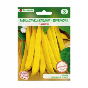 Fasola zwykła karłowa GALOPKA nasiona tradycyjne 35 g W. LEGUTKO