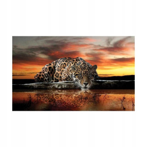 Kanwa Jaguar o zachodzie 100 x 75 cm