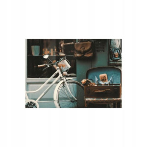 Obraz na pilśni Biały Rower 100 x 70 cm