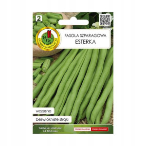 Fasola szparagowa Esterka nasiona PNOS