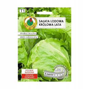Sałata lodowa Królowa lata nasiona PNOS