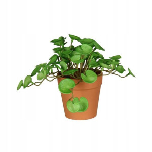 Centella sztuczna w doniczce 16 cm SPLENDID