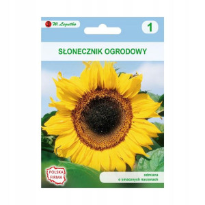 Słonecznik ogrodowy nasiona tradycyjne 20 g W. LEGUTKO